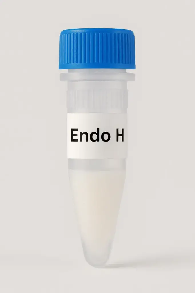 Endo H (Endoglycosidase H)