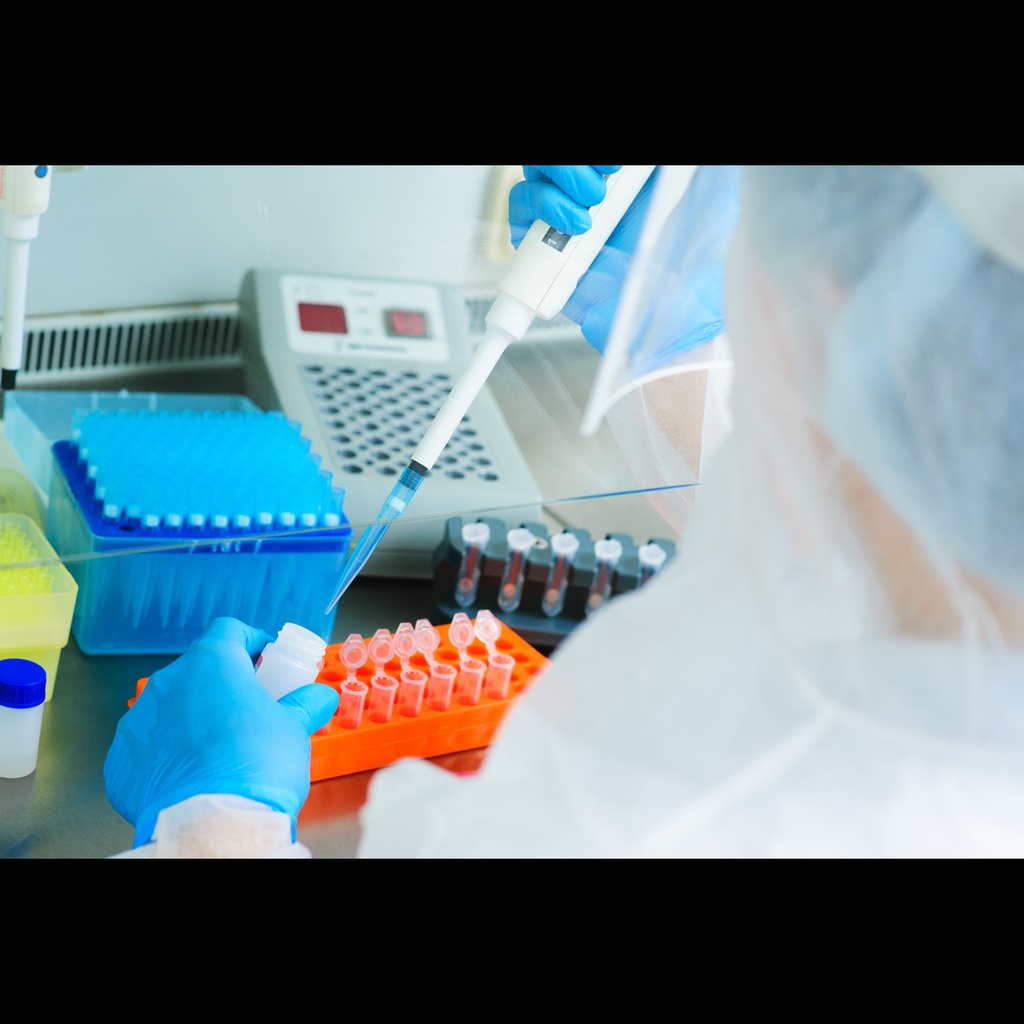 MDR Mycobacterium tuberc µLosis ''Ethambutol'' Real Time qPCR Assay   50 reactions