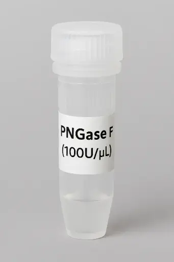 [Y-GEN-02] PNGase F (100U/μL)