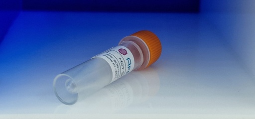 [0338-PAB193Ga01-200UL] Polyclonal Antibody solution to Lysozyme ''LZM''   200 ul